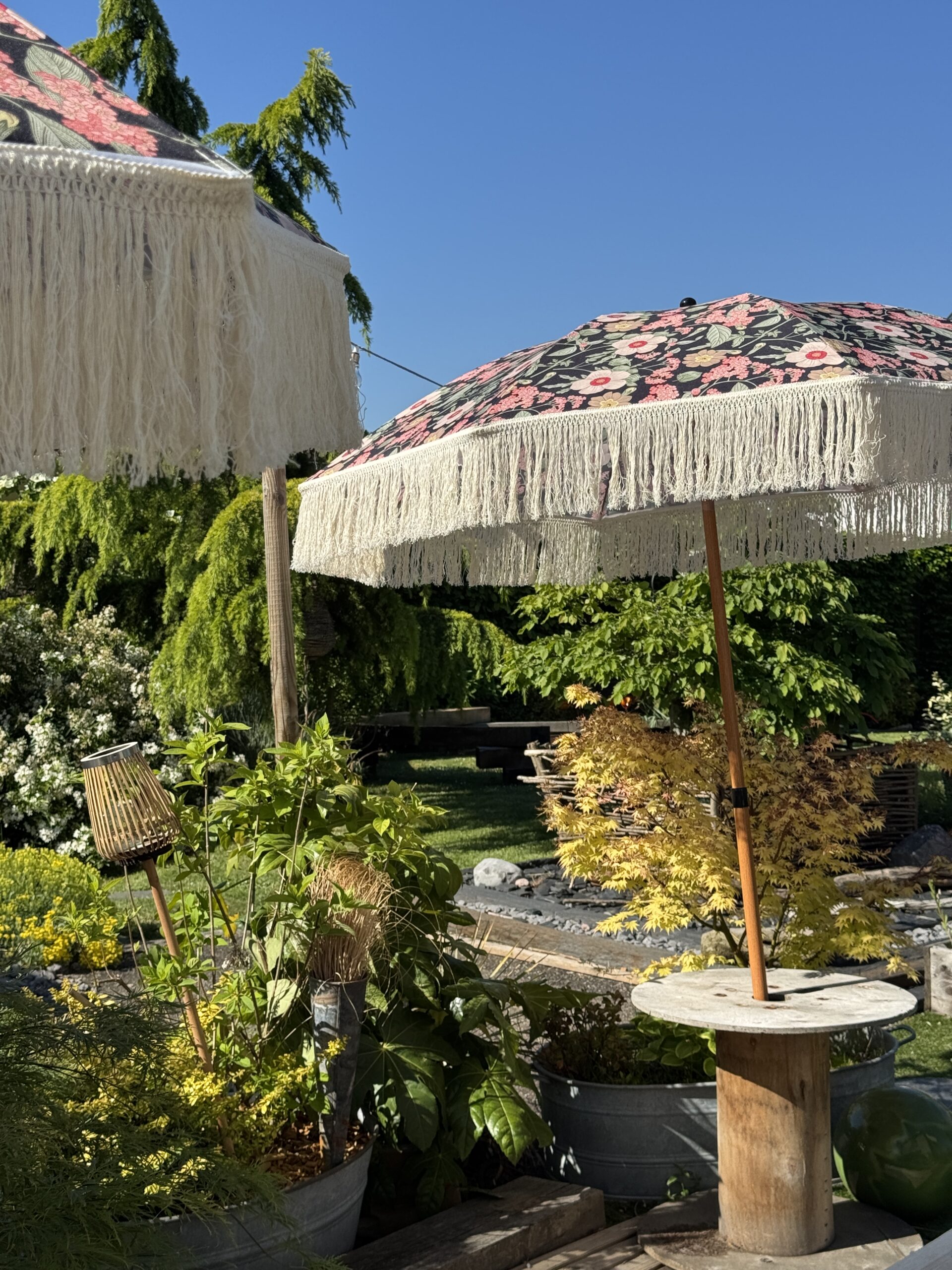 artisan des jardins obernai, aménagement et entretien