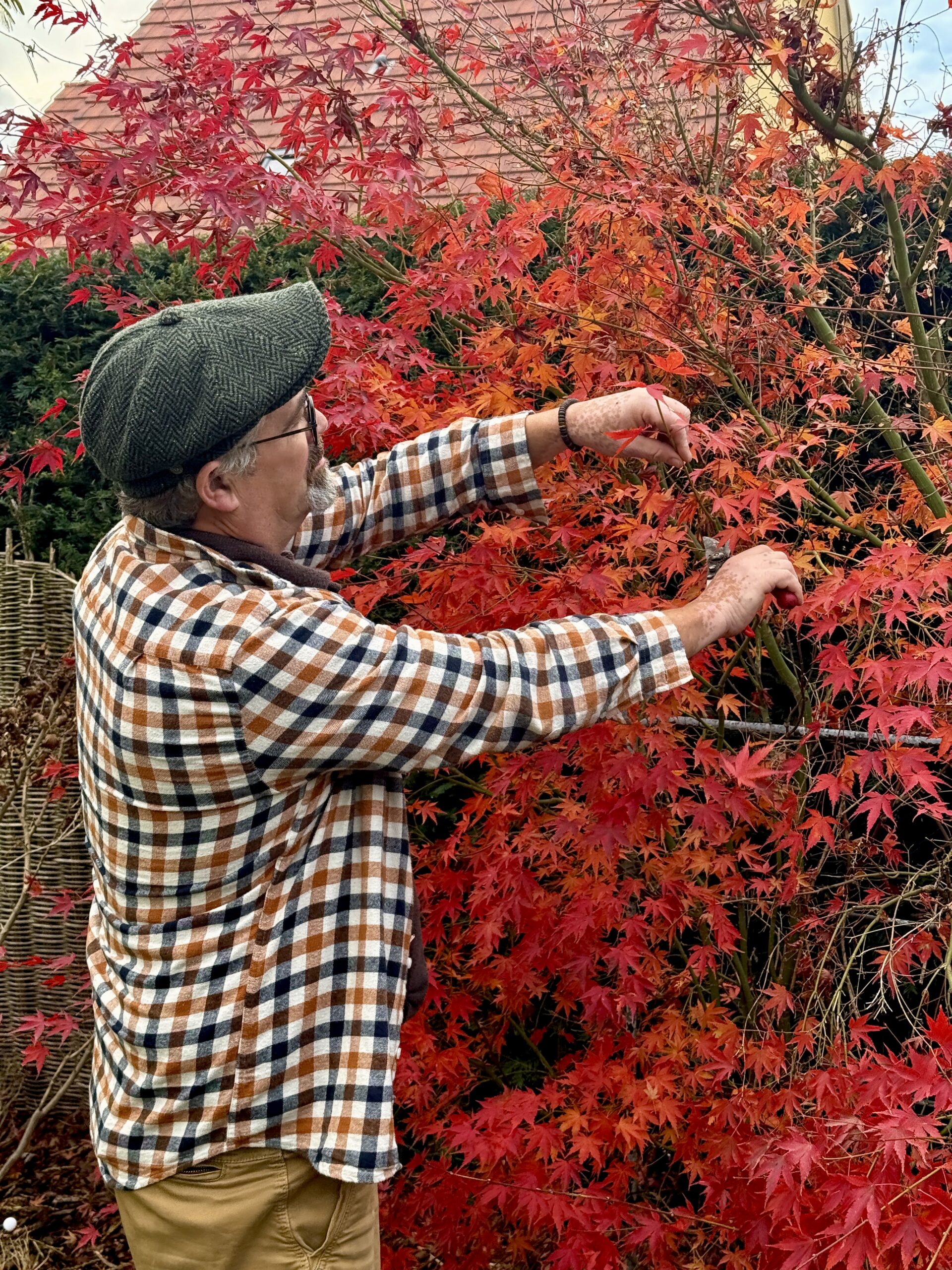 Jean-Claude Hartoin Artisan des Jardins