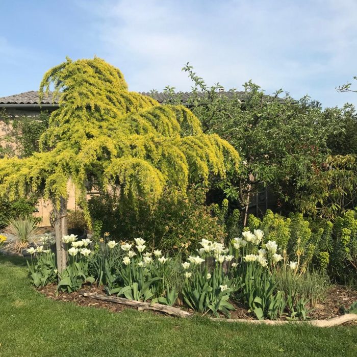 artisan des jardins obernai, aménagement et entretien