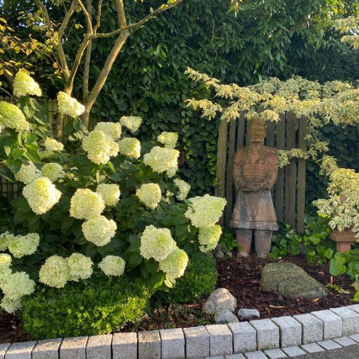 artisan des jardins obernai, aménagement et entretien