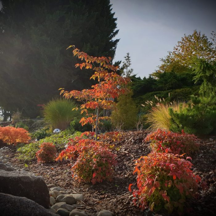 artisan des jardins obernai, aménagement et entretien