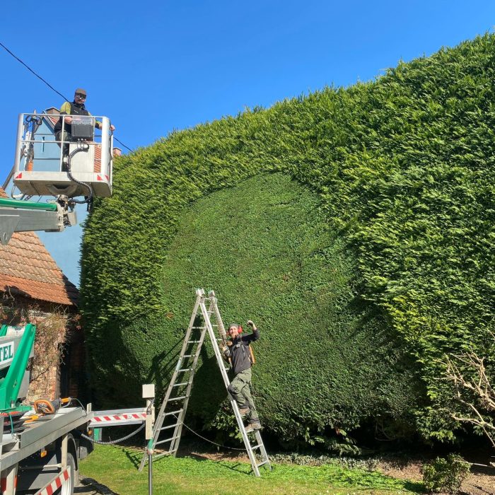 artisan des jardins obernai, aménagement et entretien